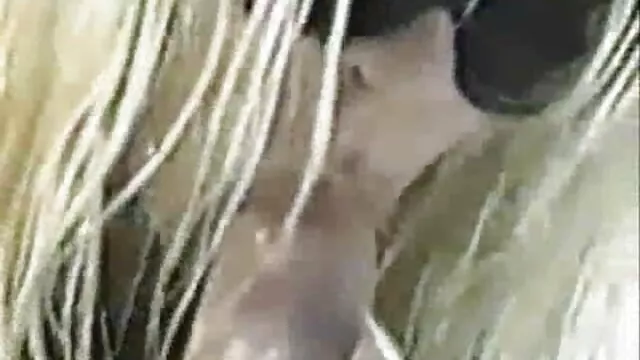 HAUSFRAU FICKEN - Ama de casa tetona tocada ropa erotica xxx por un trabajador cachondo