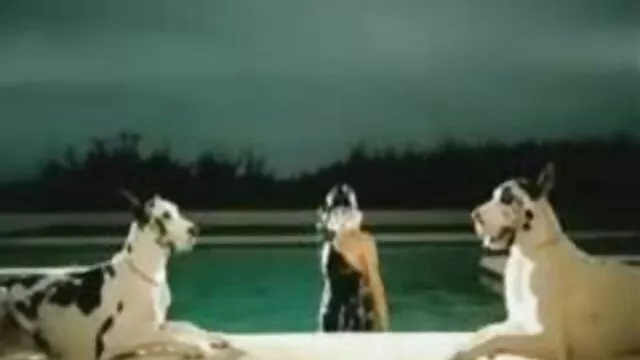 Blanco COÑO videos y peliculas eroticas gratis a caballo bbc bueno