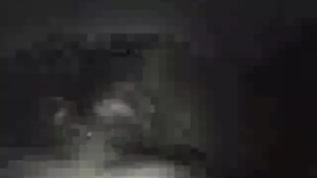 Raíz rectal 3 videos eroticos arabes